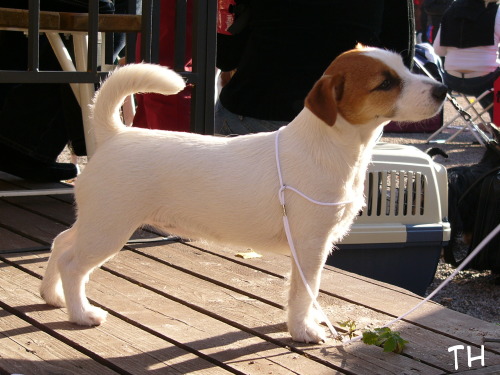 22.clara loka 05.JPG - Her ladyship Clara (4 kk)